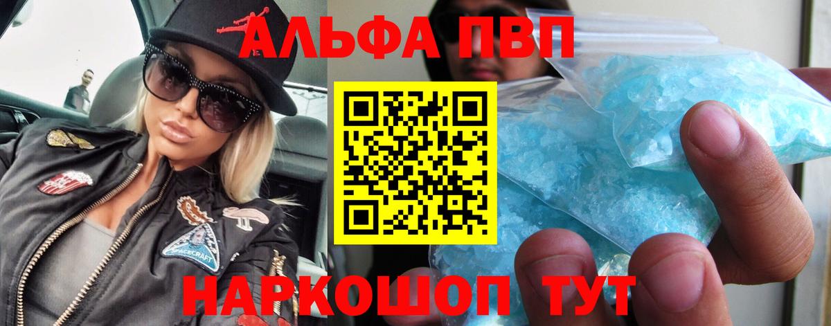 A PVP СК КРИС Сыктывкар