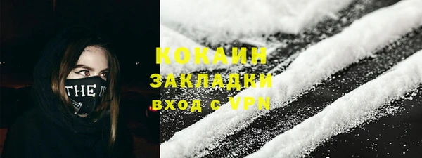 шишки Магадан