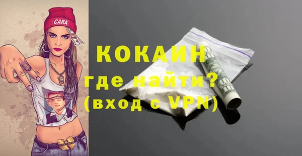 шишки Магадан