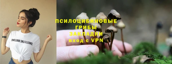 тгк Лиски