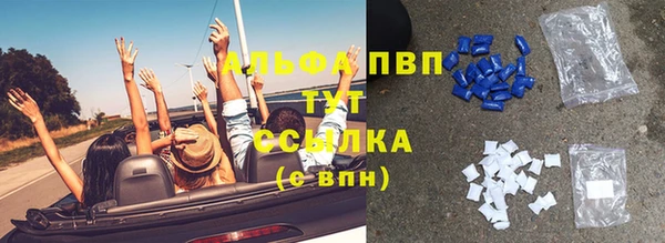 шишки Магадан