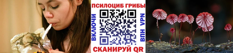 Псилоцибиновые грибы GOLDEN TEACHER  Сыктывкар 