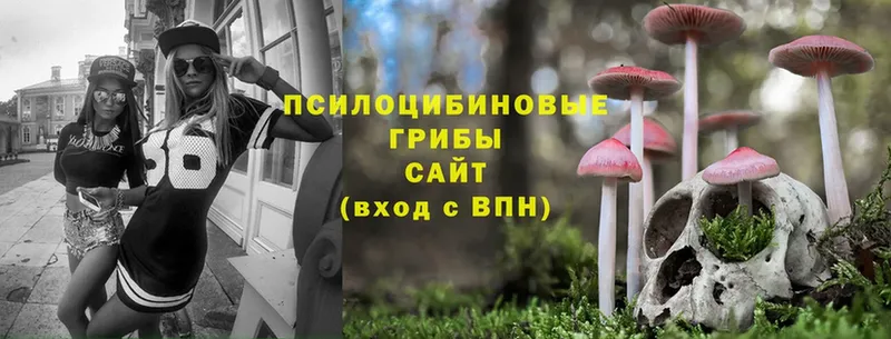 Псилоцибиновые грибы Psilocybe  где купить наркотик  Сыктывкар 