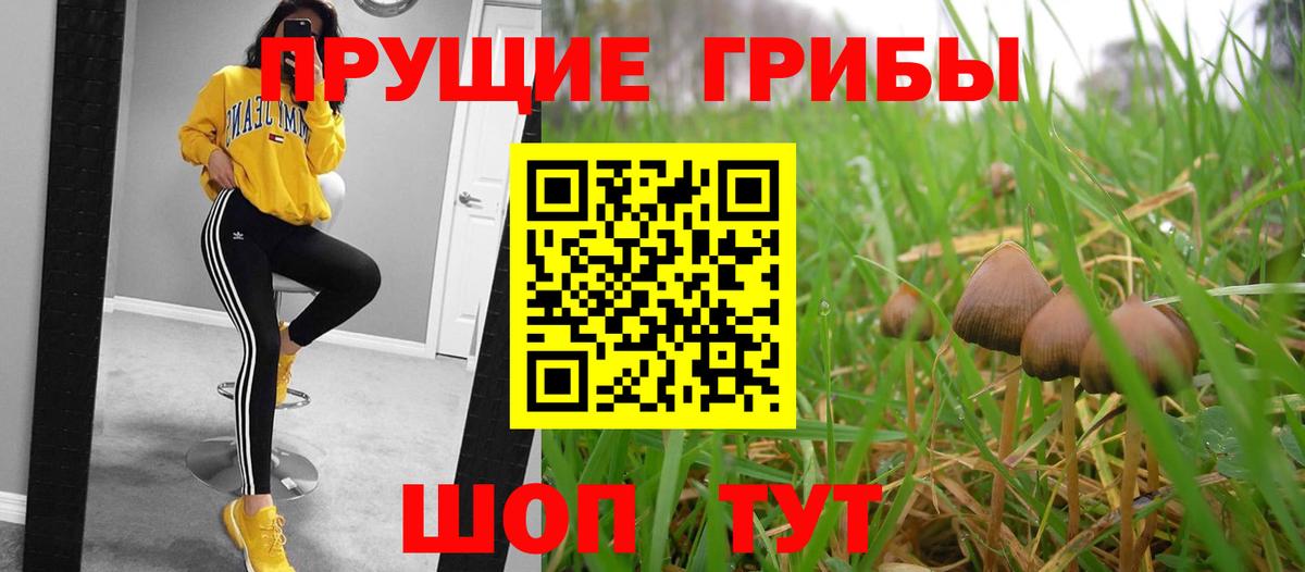 Сыктывкар  Псилоцибиновые грибы ЛСД  наркошоп  Вход с VPN 